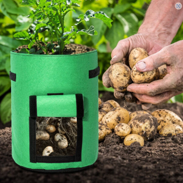 2pcs Grow Bags Tvird Planter Pot Fruit Flower Vegetable Tomato Potato Reusable Bag - Image 6
